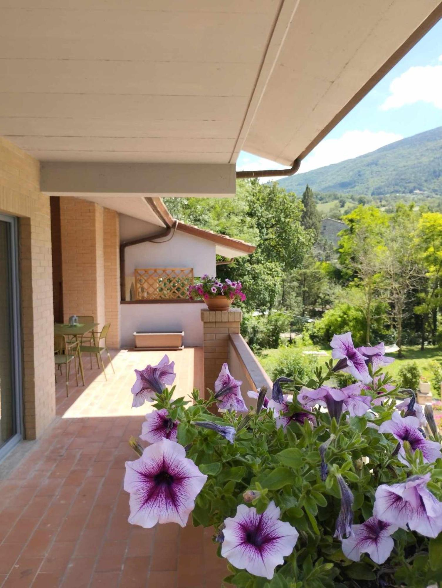 Pianpieve Nature & Relax Apartments Assisi Exterior foto
